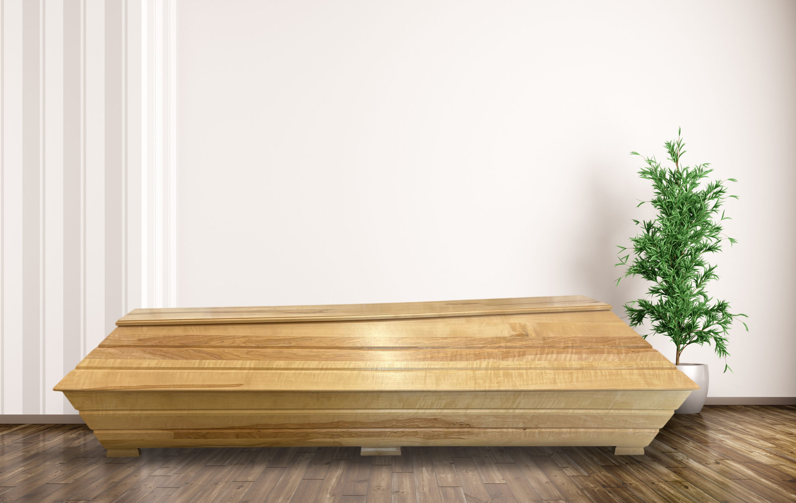 <a href="https://www.laajasalonkukkapalvelu.info/tuote/koivu/">Koivu</a>